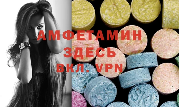 шишки Мегион