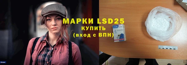 шишки Мегион