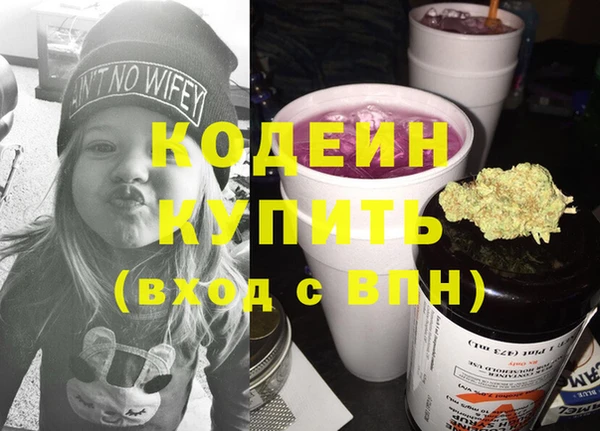шишки Мегион