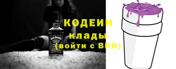 шишки Мегион