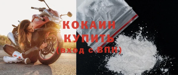 шишки Мегион