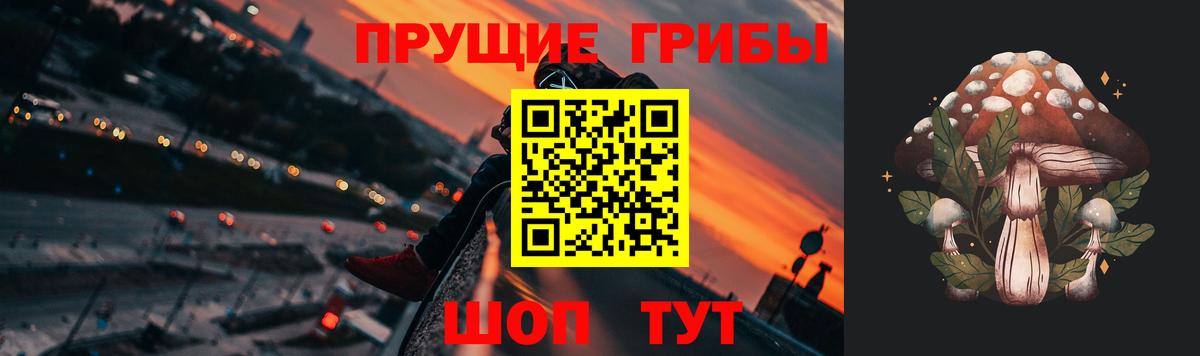 где купить наркоту  Псилоцибиновые грибы прущие грибы  Вход с VPN  Узловая  Галлюциногенные грибы ЛСД 