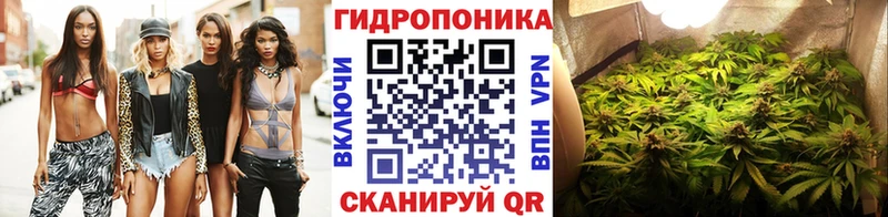 где купить наркотик  kraken ссылки  Бошки марихуана OG Kush  Узловая 